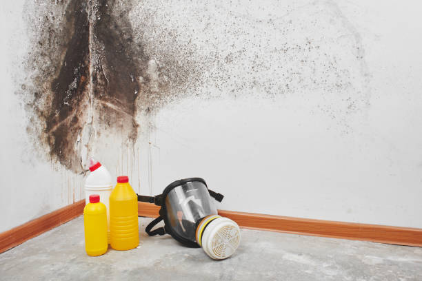 Best Mold Testing  in Oakhurst, OK