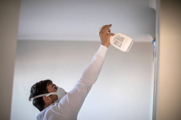 Office Mold Removal Services in Oakhurst, OK