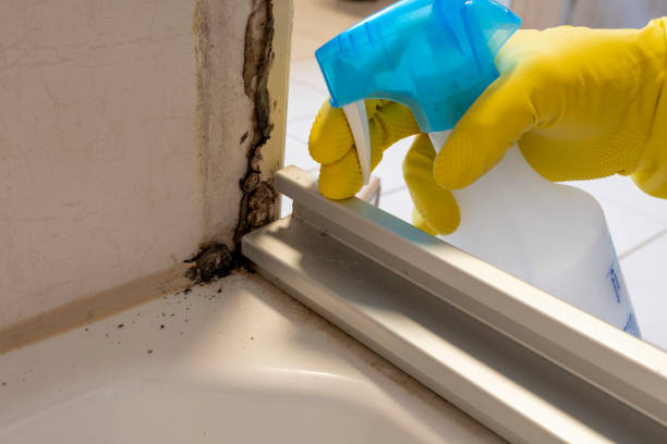 Best Home Mold Removal  in Oakhurst, OK