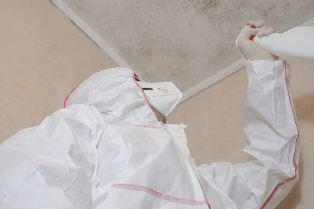 Best Attic Mold Removal  in Oakhurst, OK