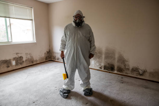 Best Fast Mold Removal  in Oakhurst, OK